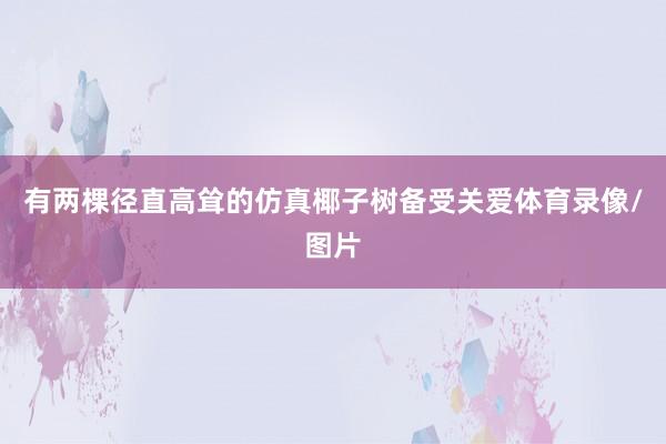 有两棵径直高耸的仿真椰子树备受关爱体育录像/图片